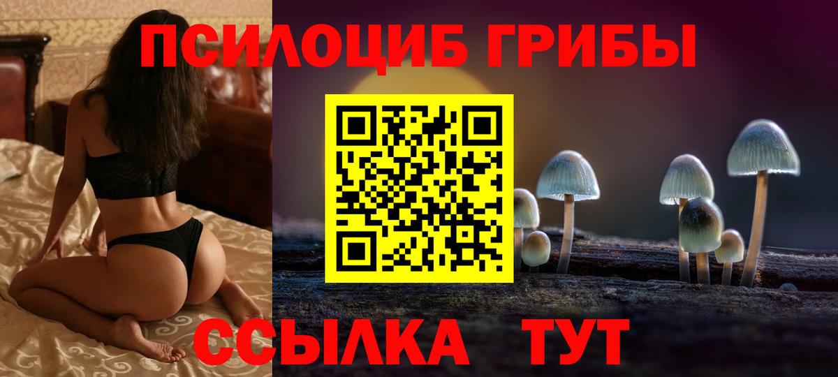 Сыктывкар  Галлюциногенные грибы Psilocybine cubensis  Вход с VPN  Галлюциногенные грибы прущие грибы 